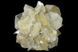 2.45" Twinned Selenite Crystals (Fluorescent) - Red River Floodway - #130285-1